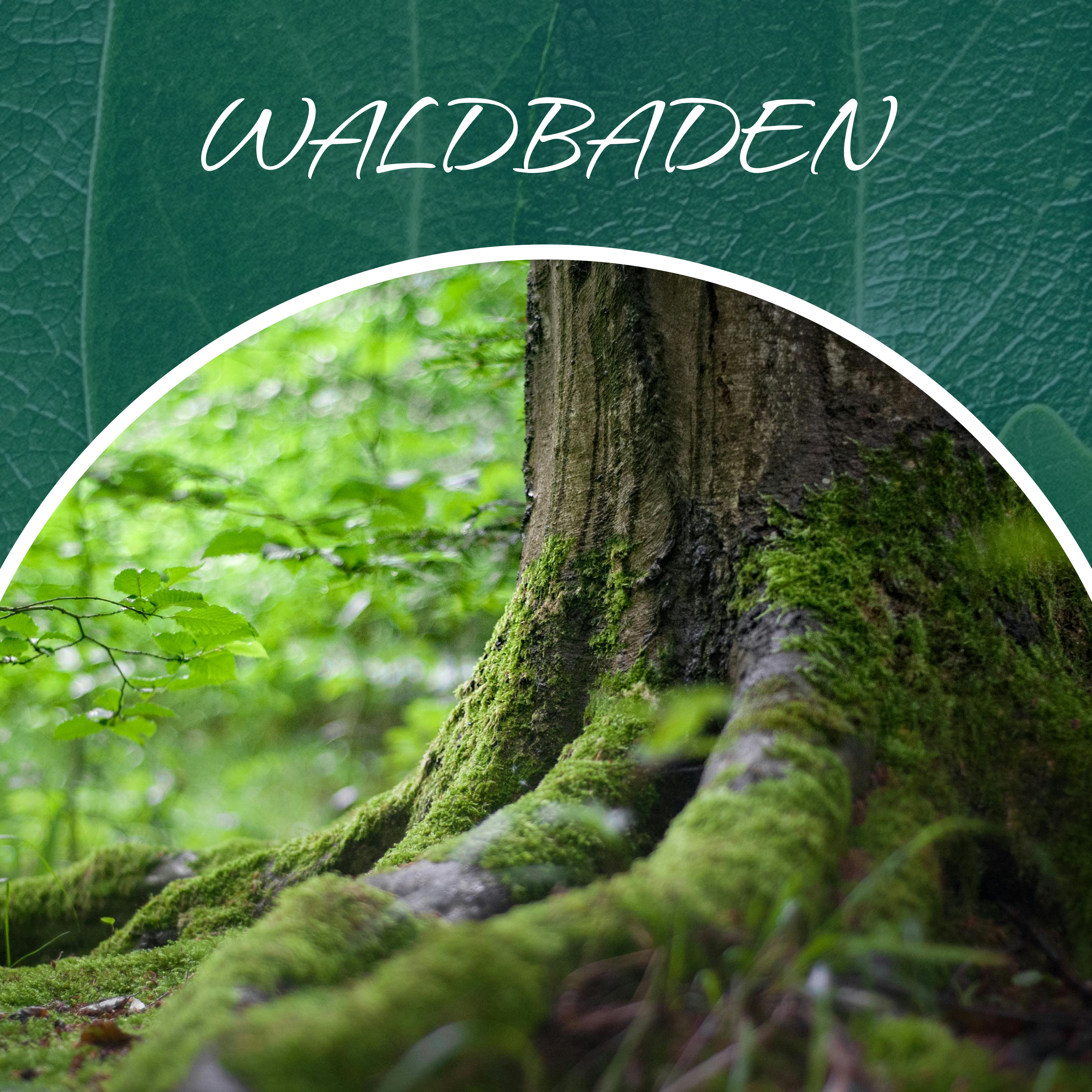 Waldbaden – Achtsamkeit im Wald
